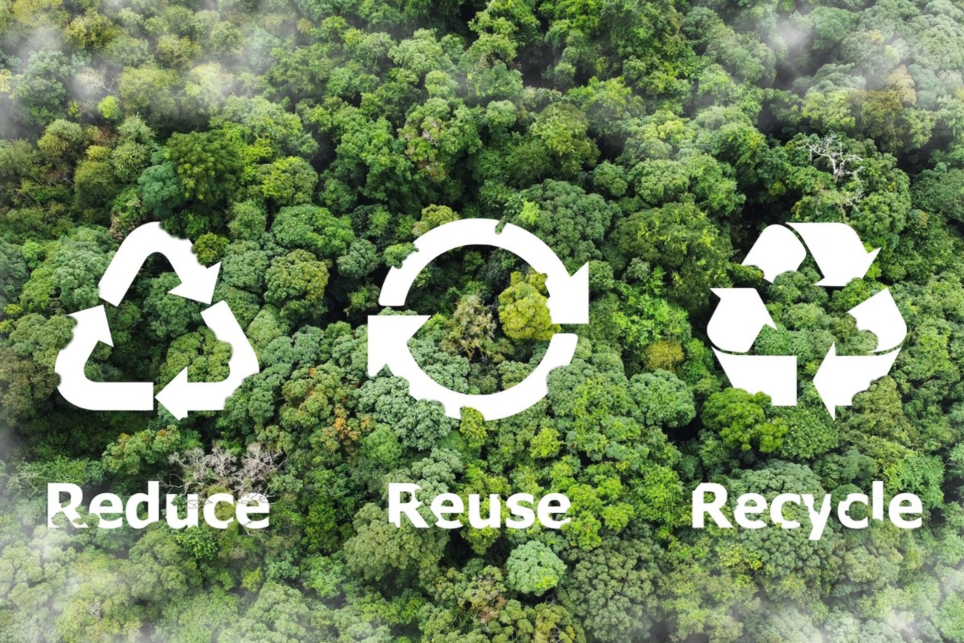 About Us Intro Image